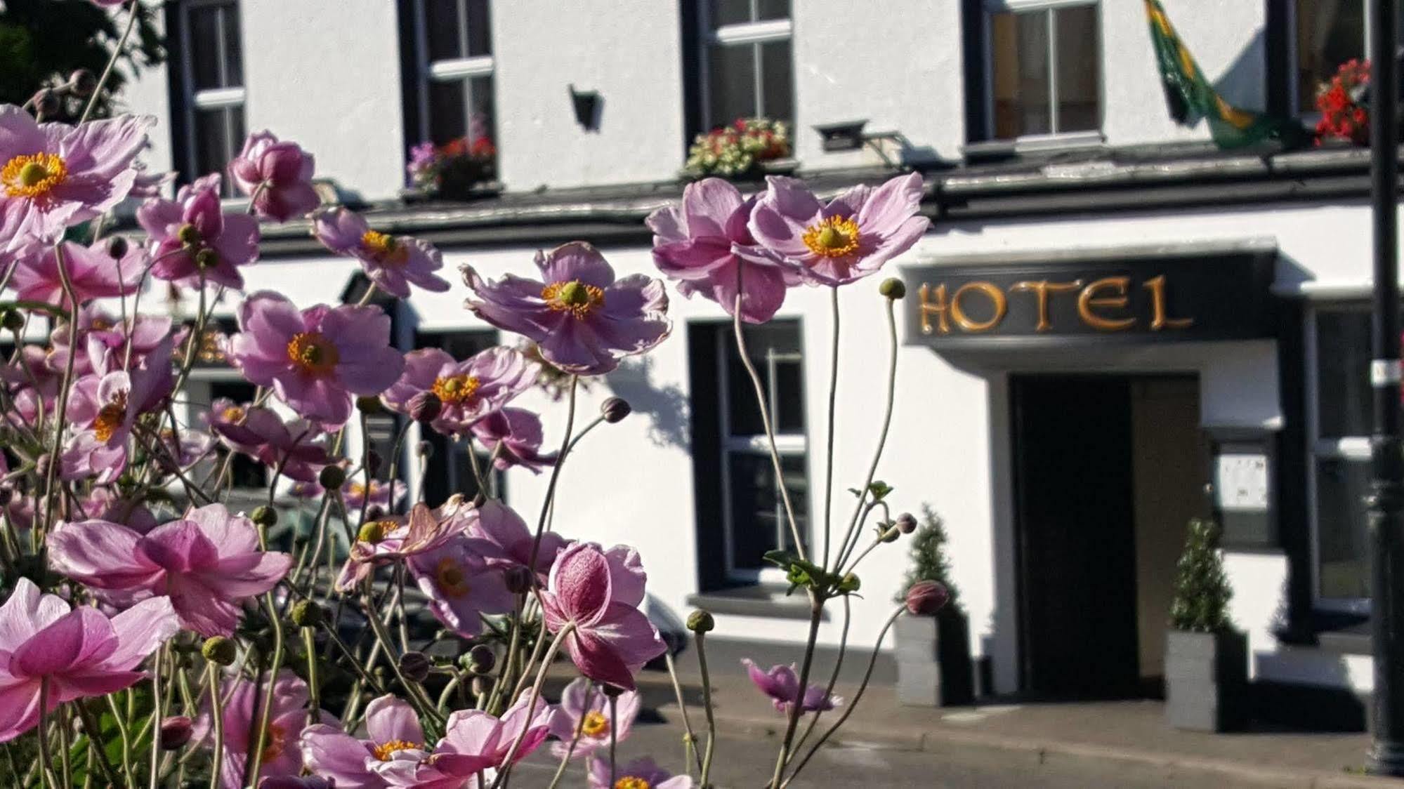 Nesbitt Arms Boutique Hotel Ардара Екстериор снимка